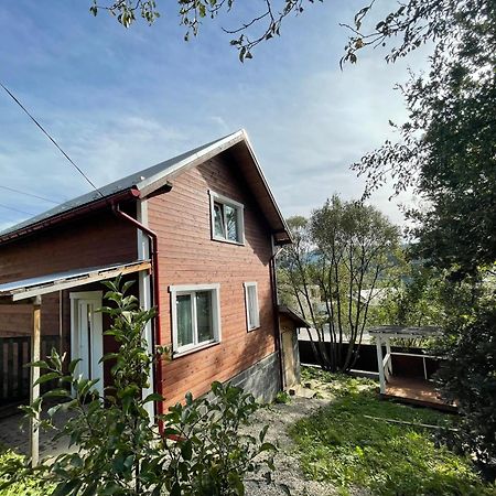 Карпатський Котедж Karpatian Cottage 보로크타 외부 사진