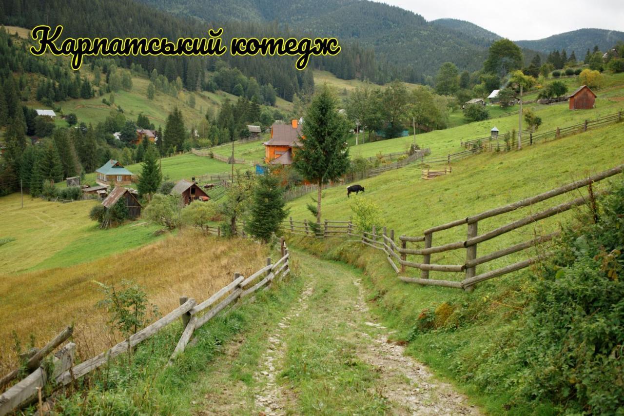 Карпатський Котедж Karpatian Cottage 보로크타 외부 사진