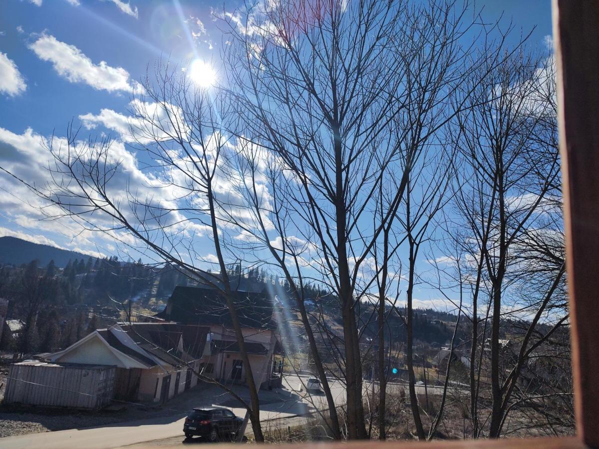 Карпатський Котедж Karpatian Cottage 보로크타 외부 사진