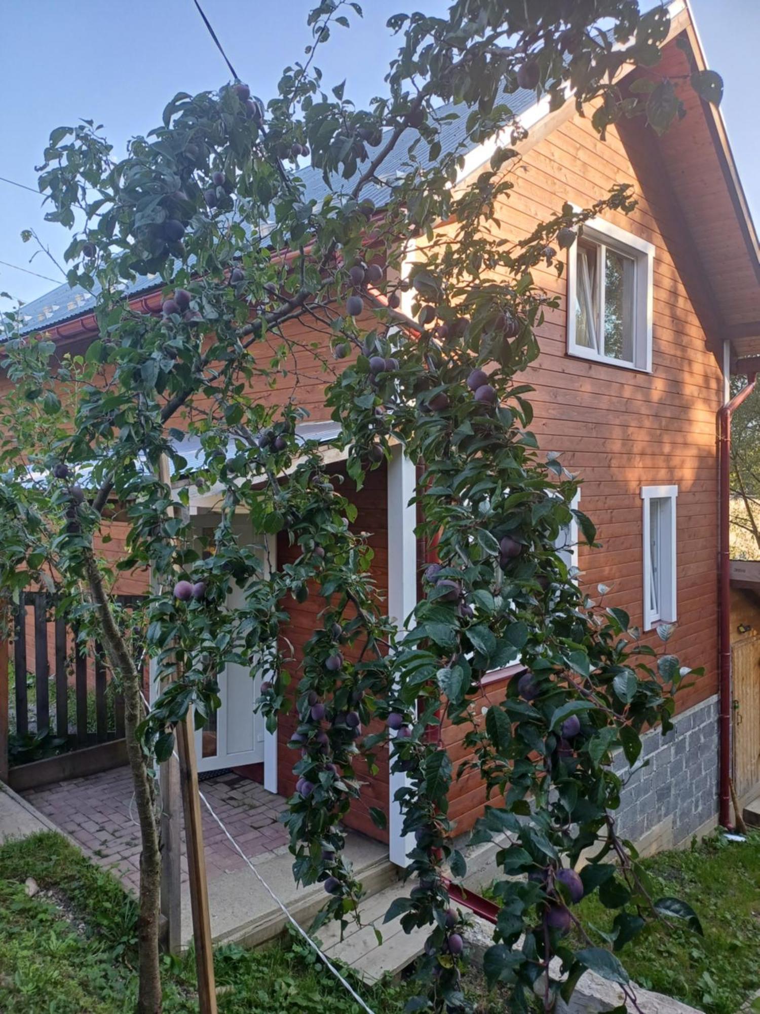 Карпатський Котедж Karpatian Cottage 보로크타 외부 사진