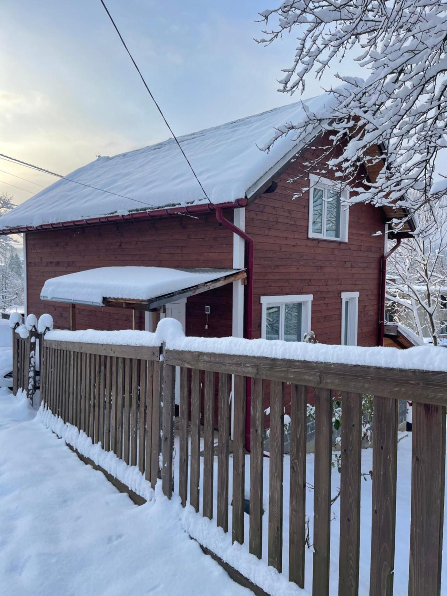 Карпатський Котедж Karpatian Cottage 보로크타 외부 사진